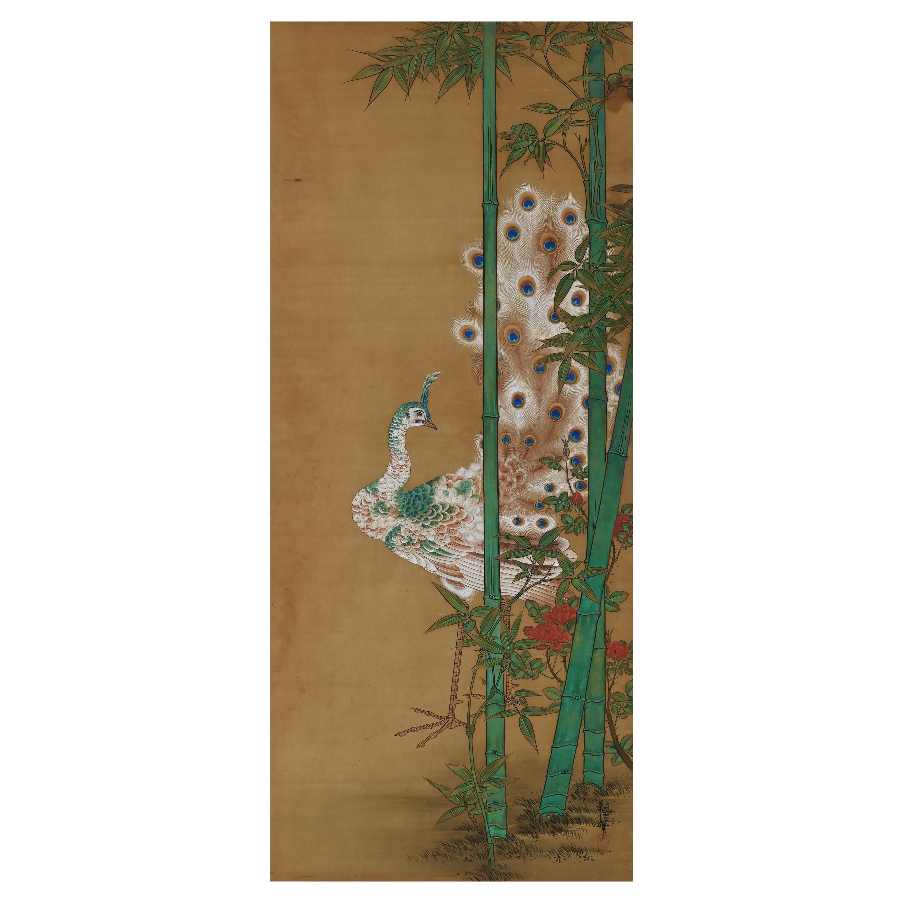 Peinture japonaise du 19ème siècle en soie de Kano Chikanobu, paon et bambou en vente