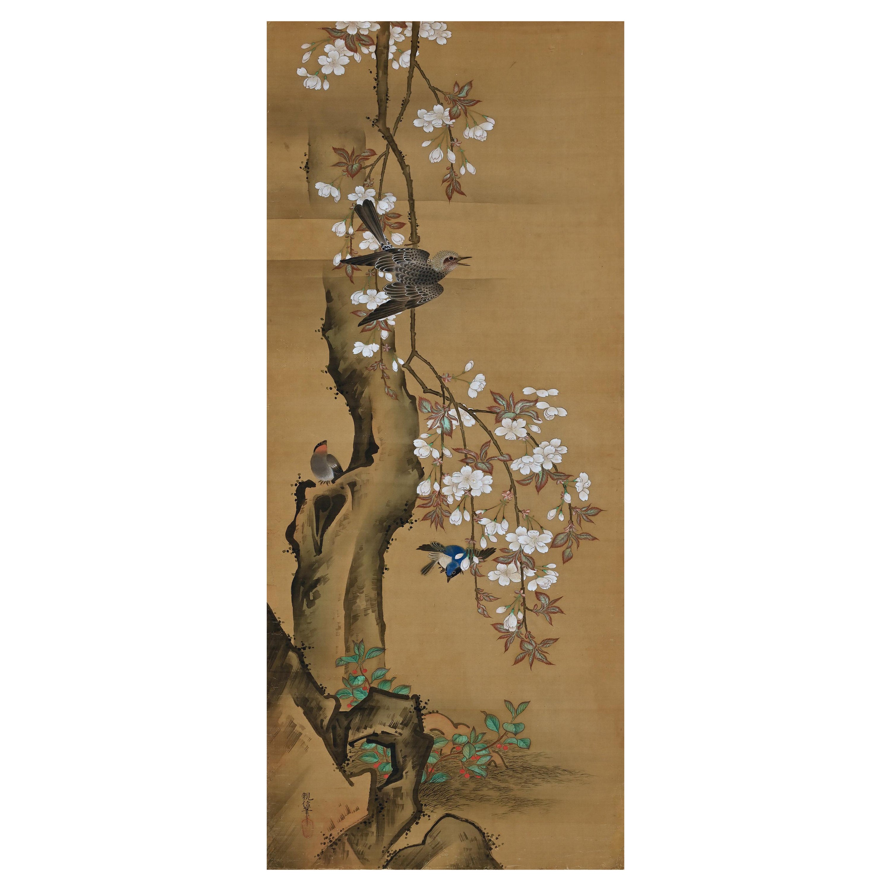 Peinture japonaise du 19ème siècle par Kano Chikanobu, fleur de cerisier et oiseaux en vente
