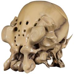 Used Nick Ervinck No. 34 "EDHOLP" in SLS 3D Print, 2013