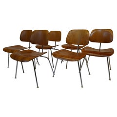 Six Eames DCM Dining Chairs for Herman Miller
