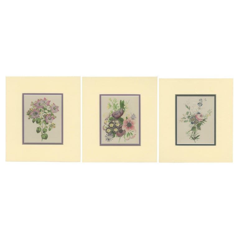 Set of 3 Vintage Flower Prints 'c.1930' For Sale
