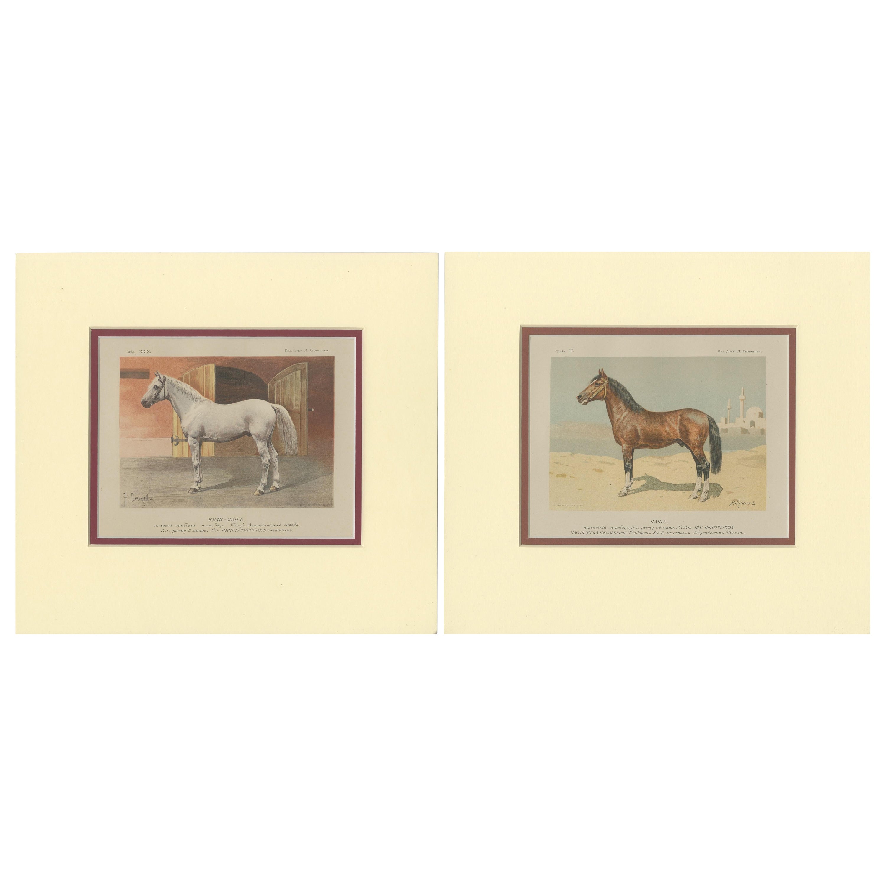 Set of 2 Antique Horse Prints by Simonov