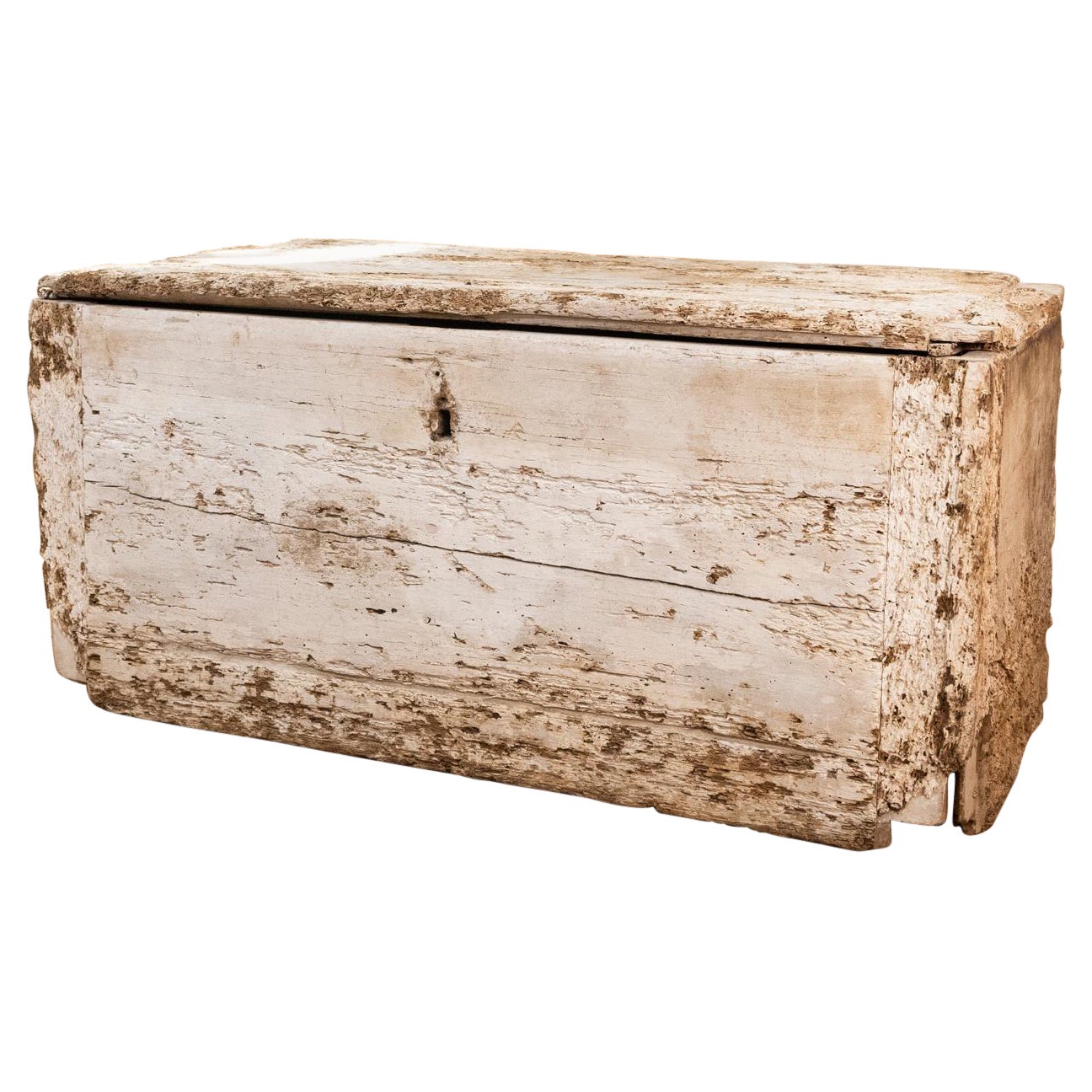 19th Century Rustic Painted Country House Trunk, Coffee Table For Sale