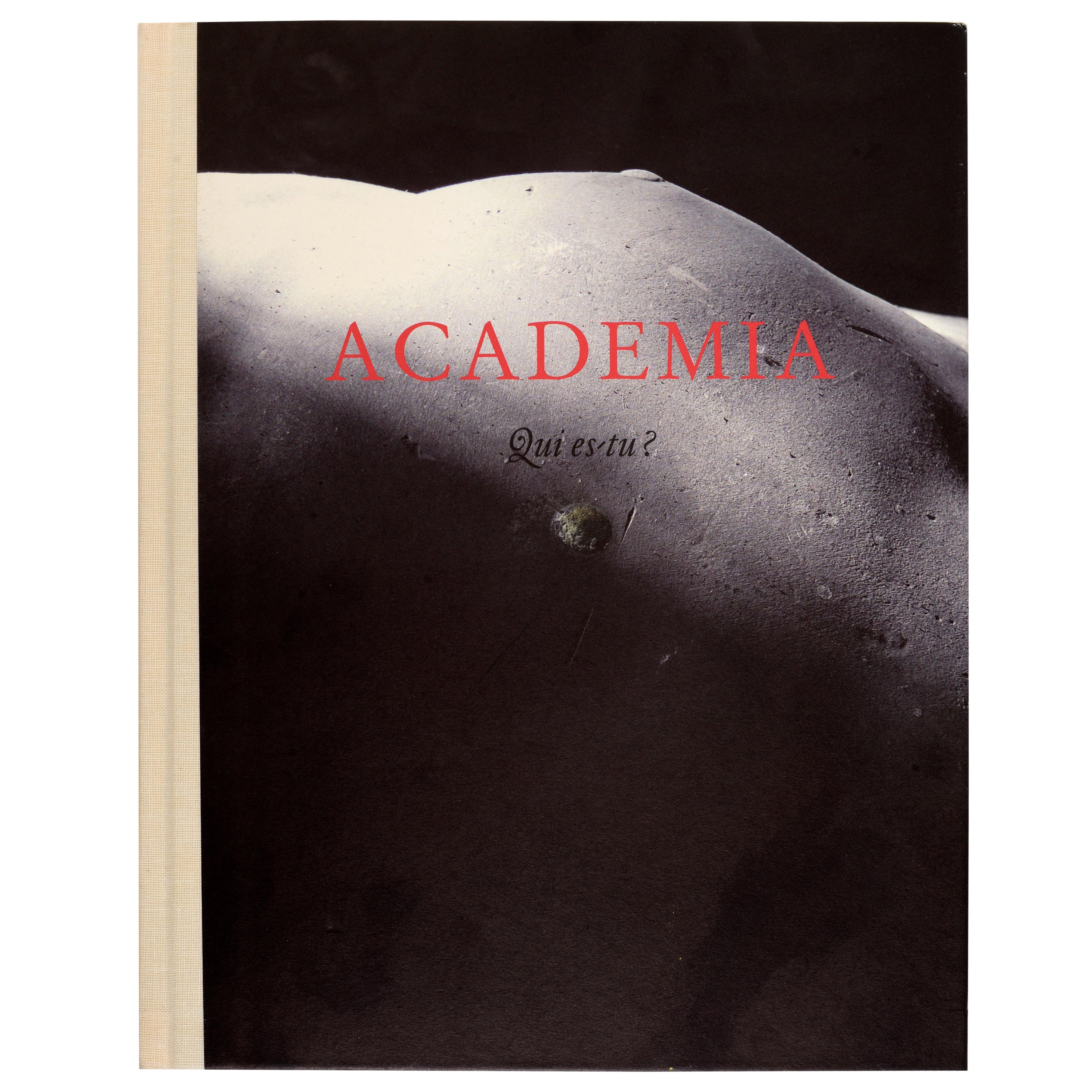 Academia Qui Es-Tu by Edited by Axel Vervoordt, 1st Ed