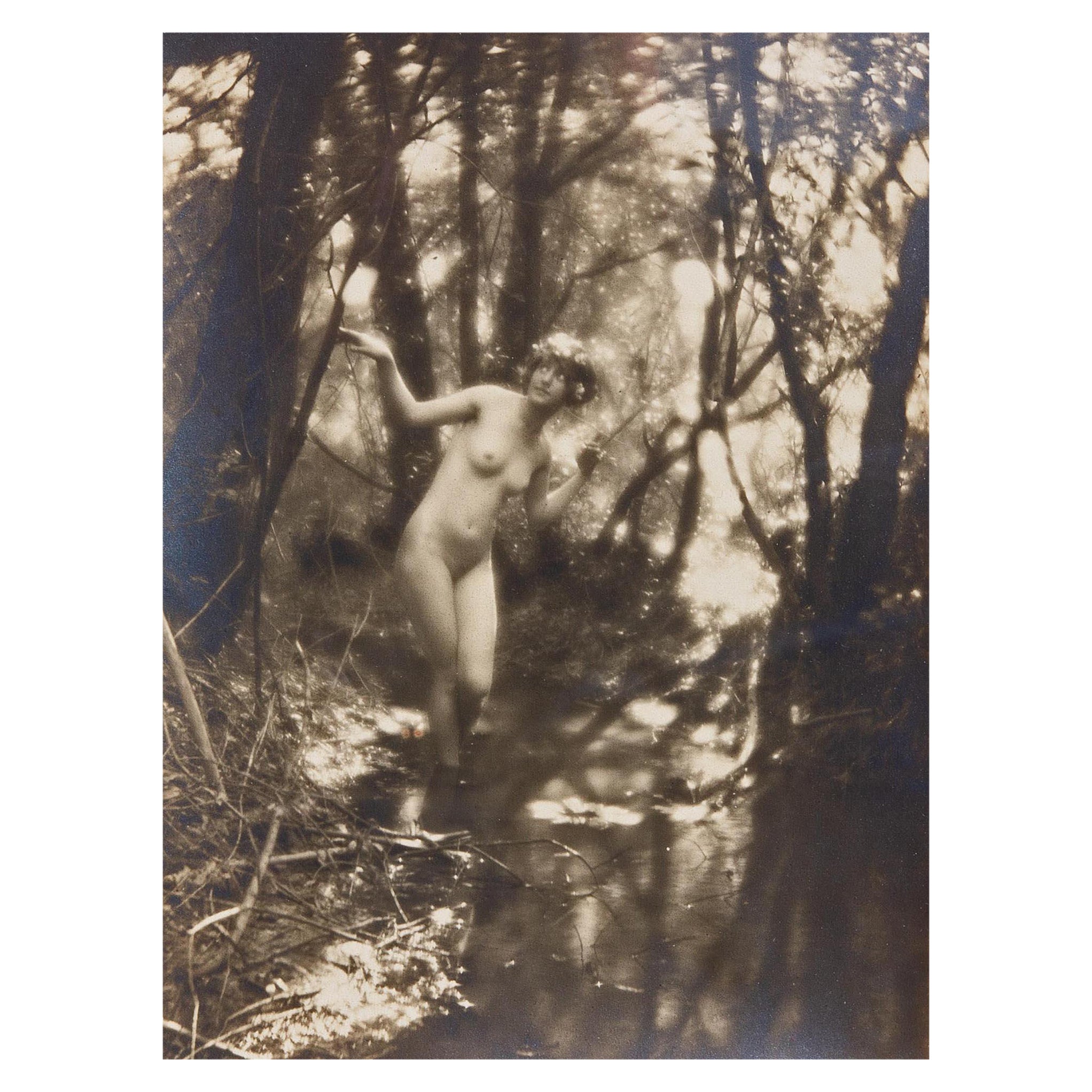 Pictorialist Photograph Nude Wood Nymph by Charles Cook Circa 1910 For Sale