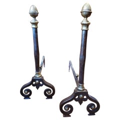 Pair of 19th Century Louis XIV Style French Provincial Andirons