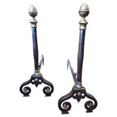 Paire de chenets provincial français de style Louis XIV du 19ème siècle