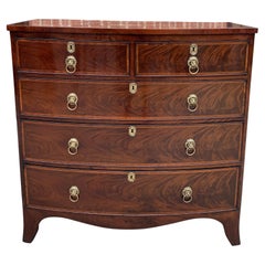 Antique English Chest of Drawers Bow Front Mahogany 5-Drawer Commode 19th C