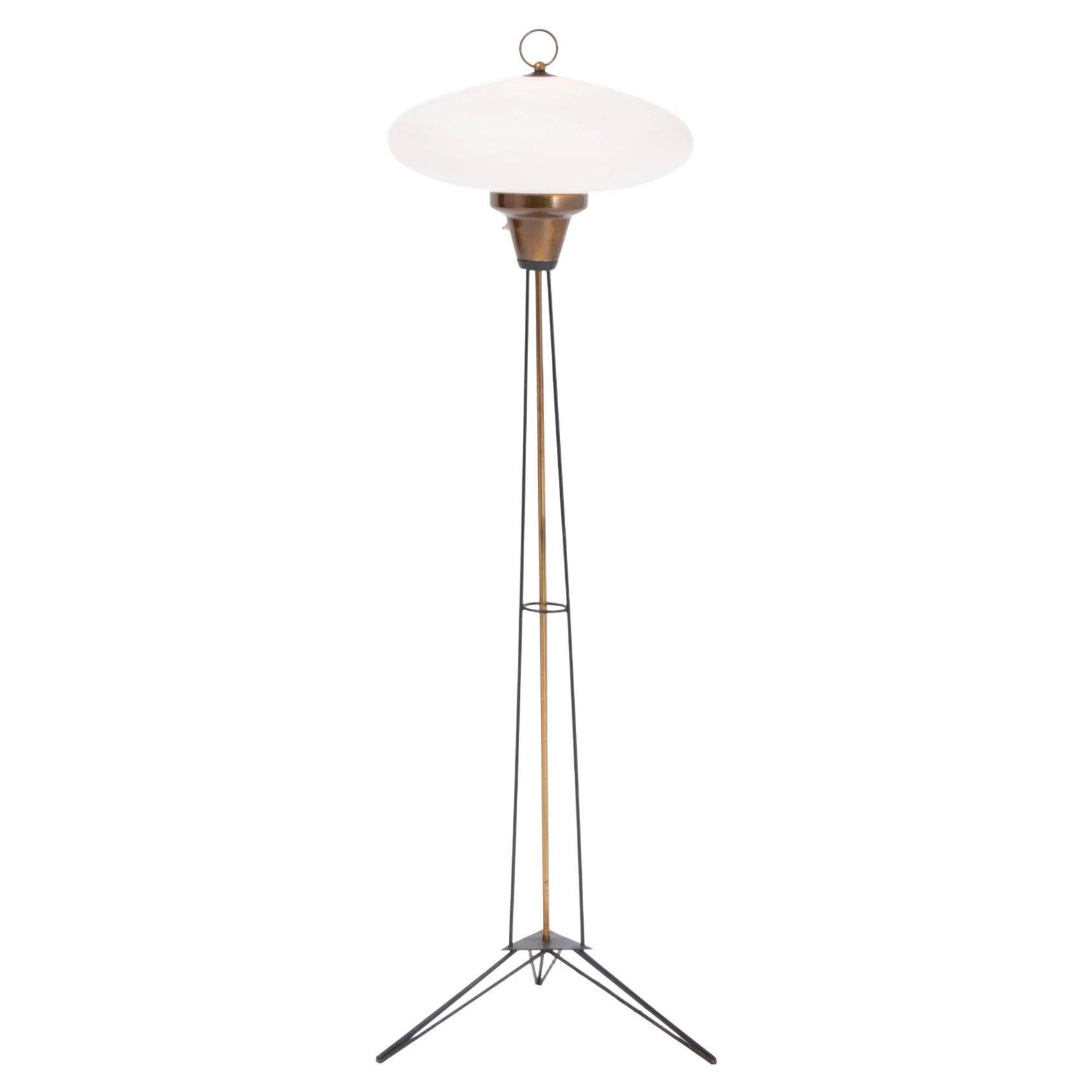 Elegant Italian Midcentury Opaline Glass and Iron Floor Lamp For Sale