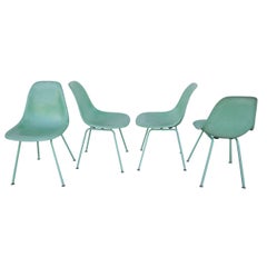 Eames Fiberglas-Schalen von Modernica