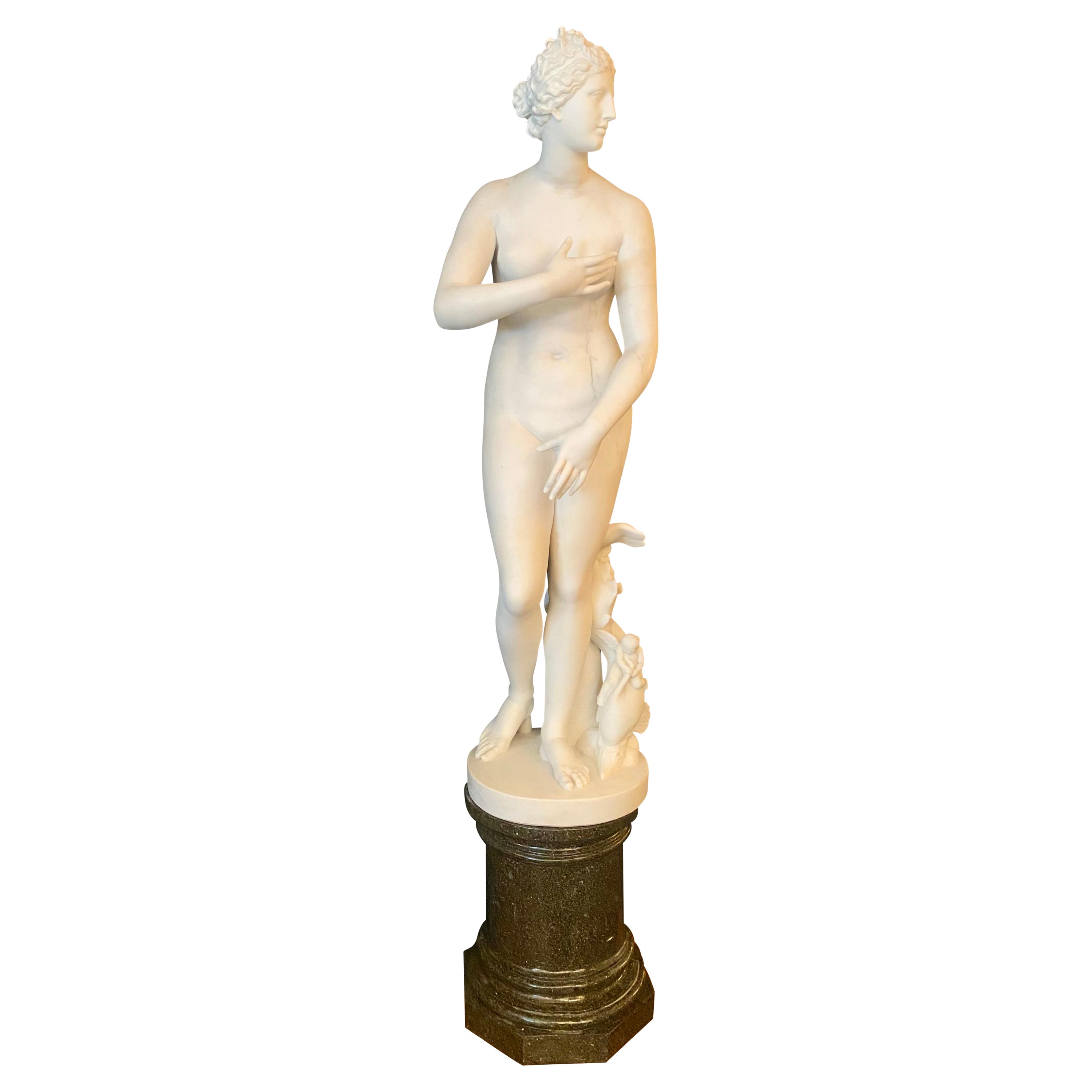 Antique 19th Century Carrara Marble Statue, "Venus D' Medici" by Antonio Frilli