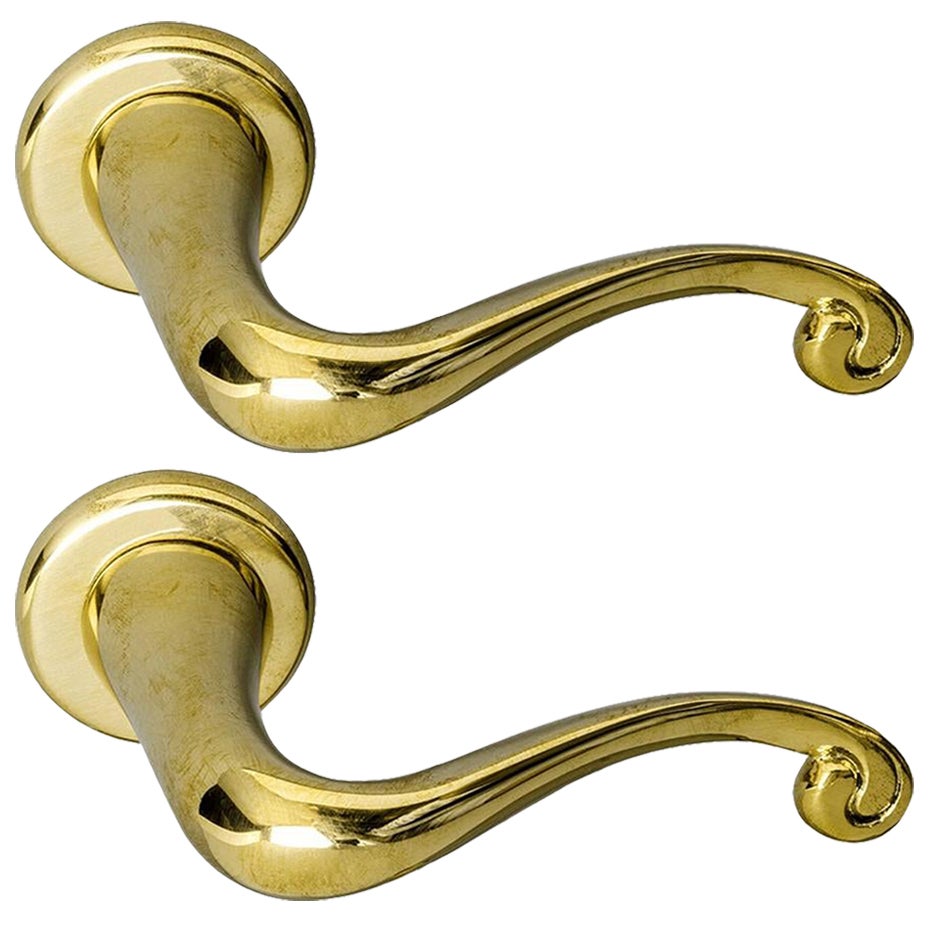 Polished Solid Brass Batlló Door Handle by Antoni Gaudi - Set of 2