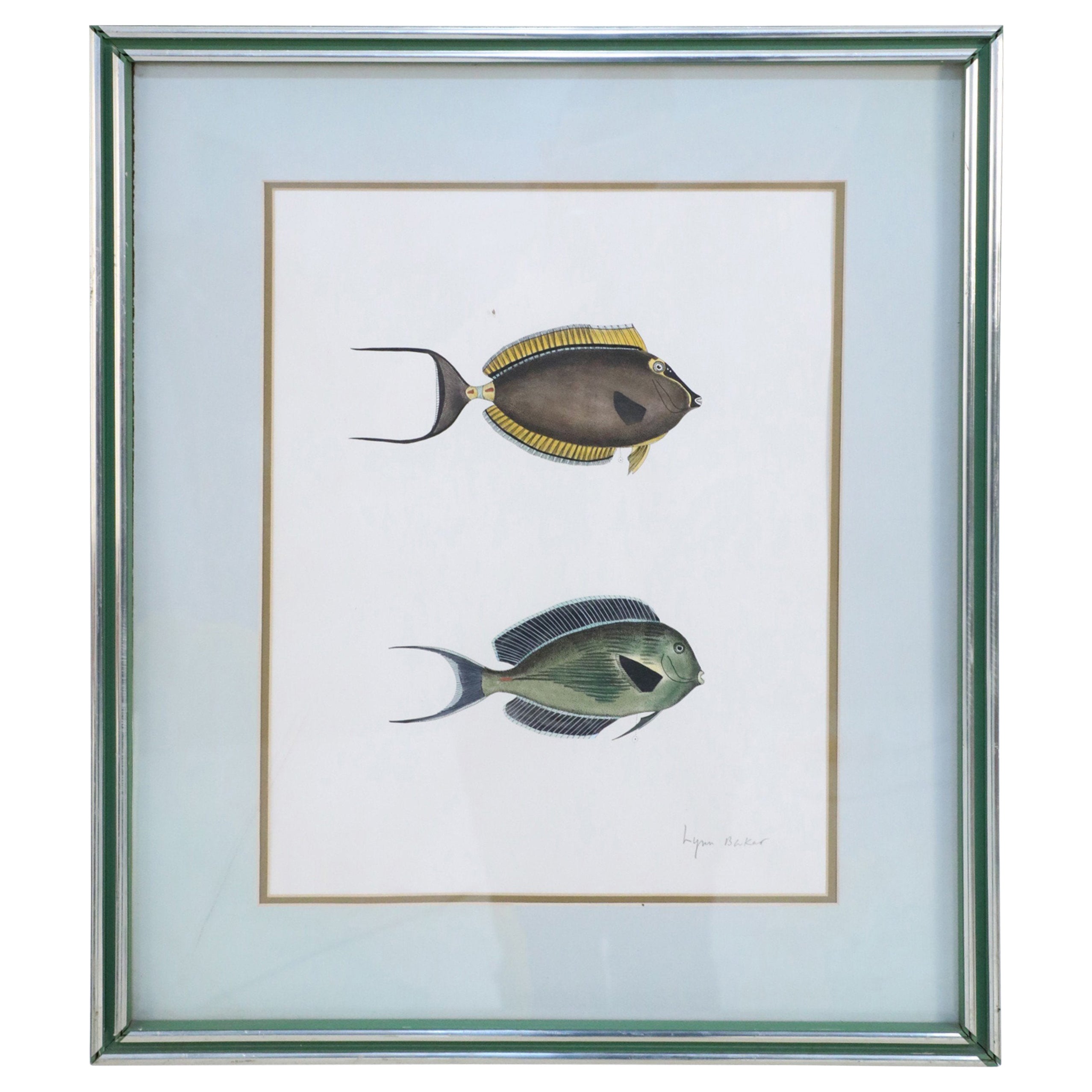 Framed Lithograph of Two Brown and Gray Tropical Fish