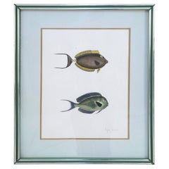 Gerahmte Lithographie mit zwei braunen und grauen tropischen Fischen