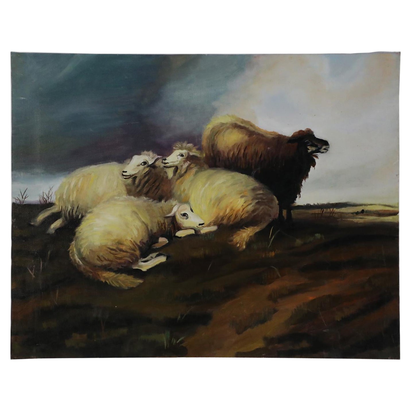 Groupe de moutons dans un champ Peinture à l'huile sur toile