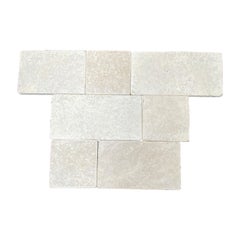 MIxed Layer Cafe Taupe Pavers