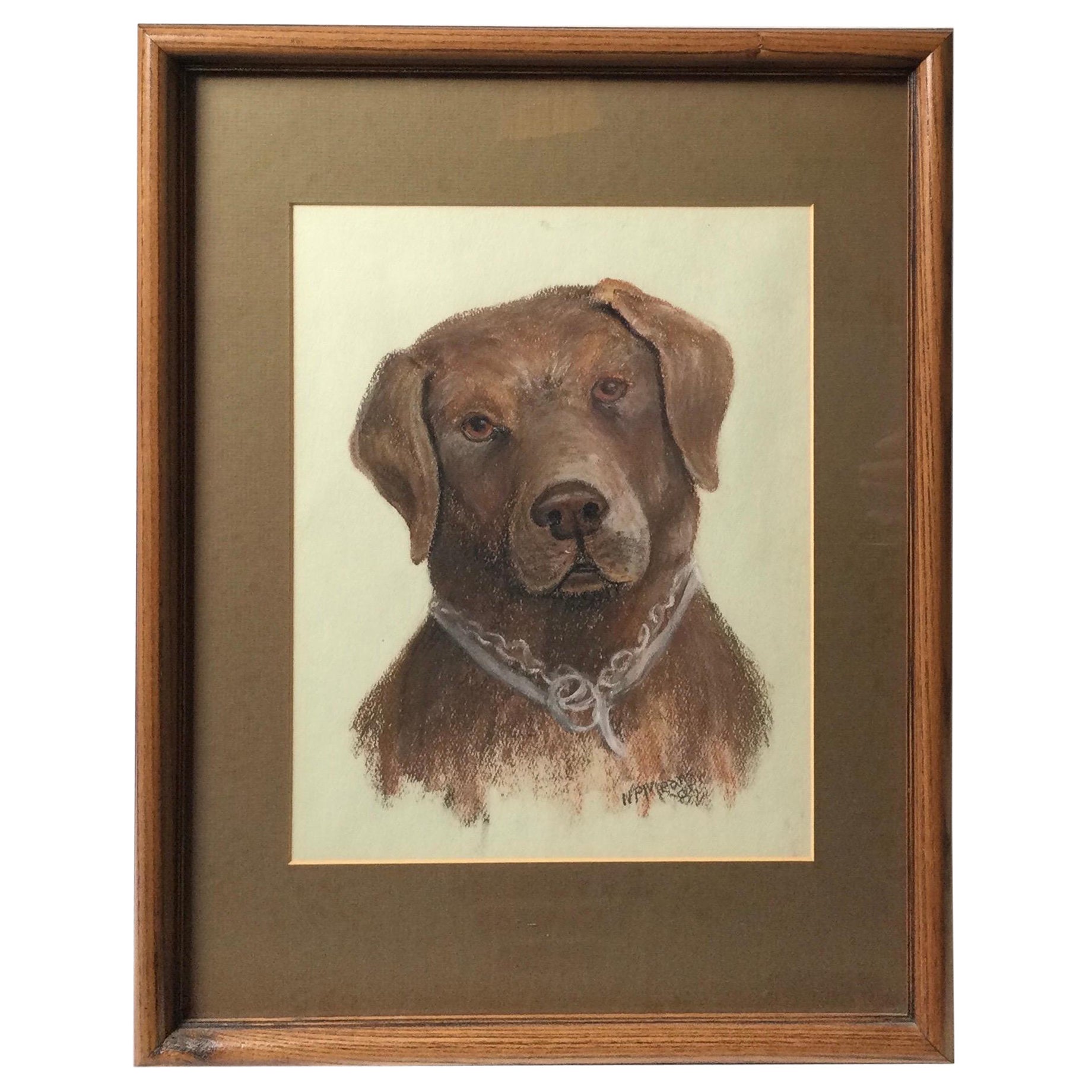 Pastel on Paper of a Chocolate Lab.