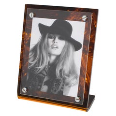 1970s Tortoiseshell Lucite and Chrome Picture Frame