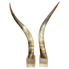 Pair of Large Mid Century Natural Polished Steer Horns on Lucite Pedestals