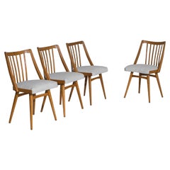 1960s Czechoslovakian Upholstered Wooden Chairs, Set of Four
