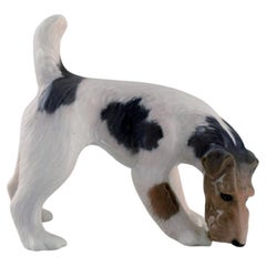 Antique Royal Copenhagen Porcelain Figurine, Wire Hair Fox Terrier, Dated 1889 - 1922