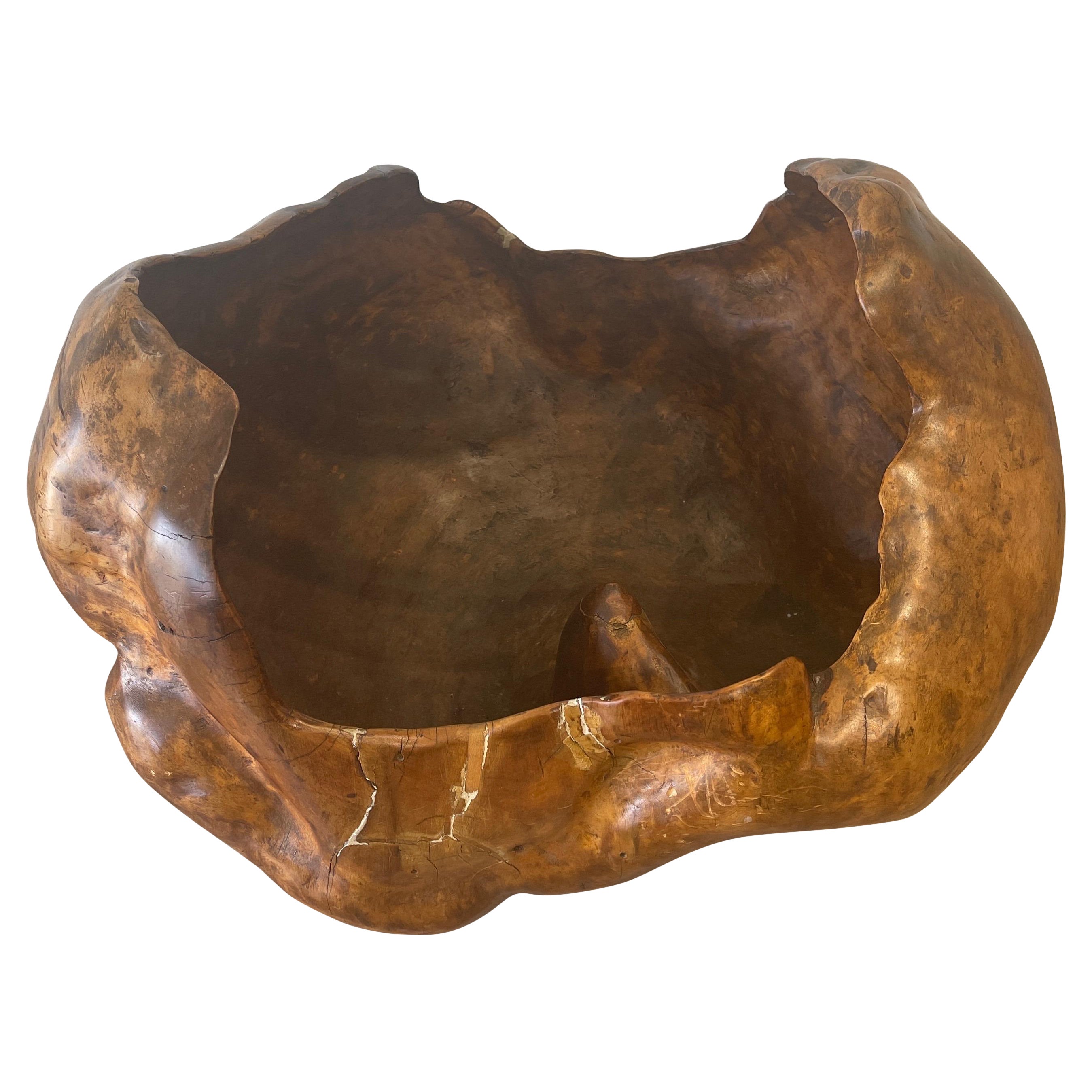 Olive Wood Organic Shape Bowl, France, Mid Century at 1stDibs