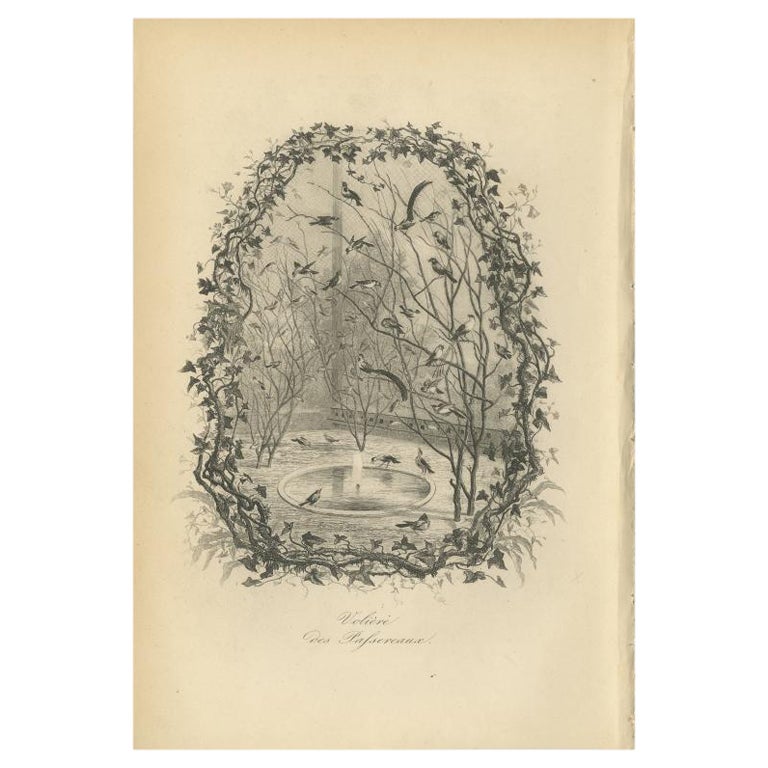Antique Bird Print of an Aviary with Various Birds by Le Maout, 1853