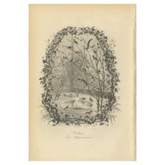 Used Bird Print of an Aviary with Various Birds by Le Maout, 1853