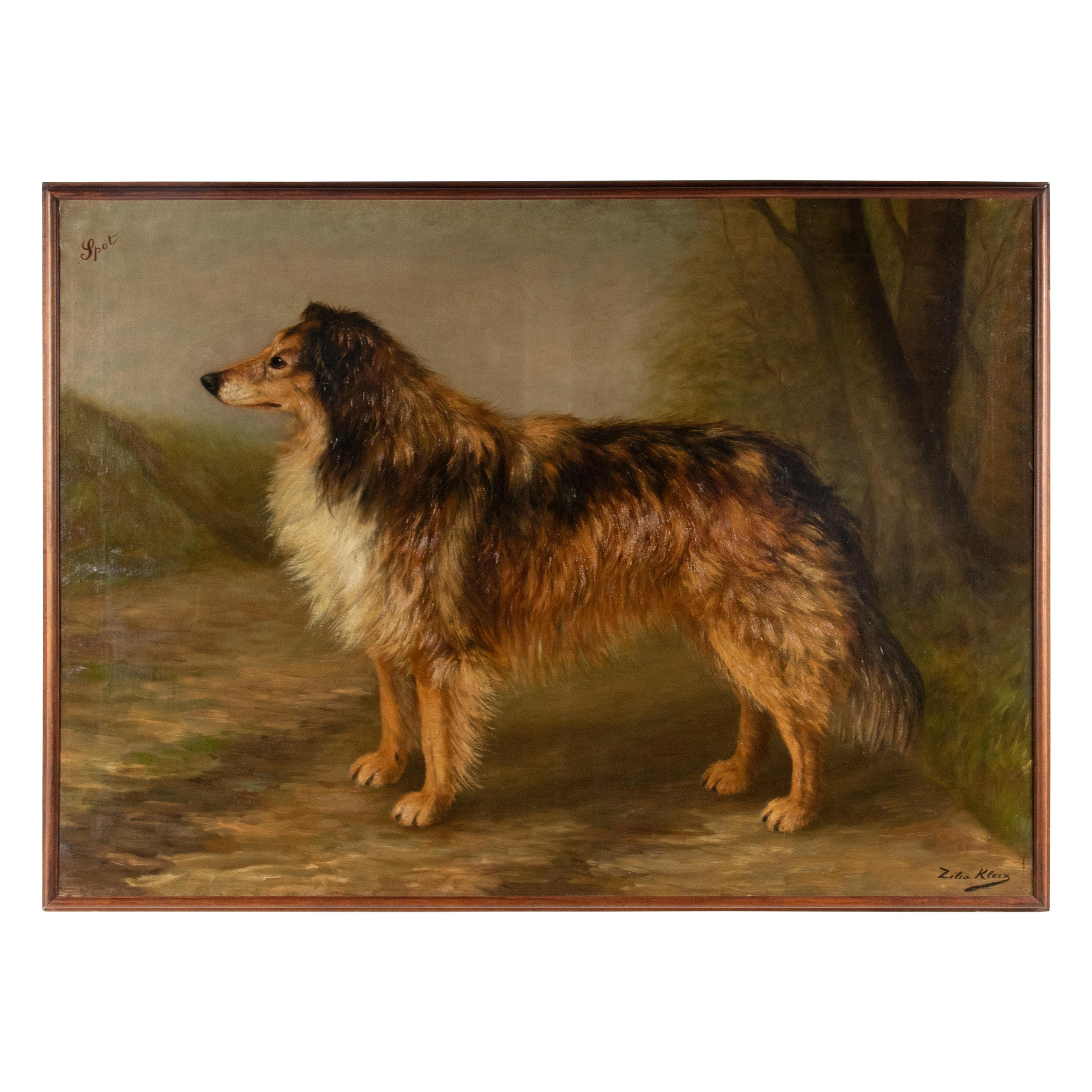 Antique Dog Painting of a Scottish Collie by Zélia Klerx Oil on Canvas