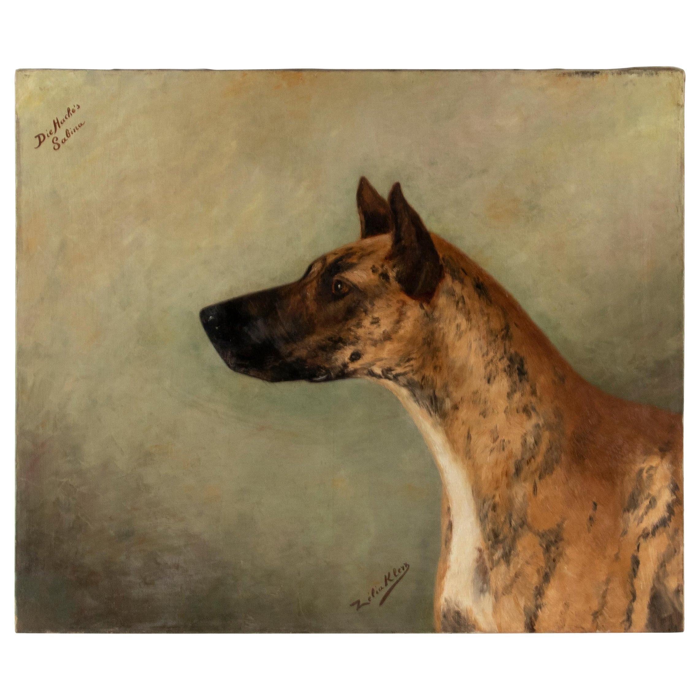 Portrait ancien d'un dogue allemand par Zélia Maria Klerx Huile sur toile en vente