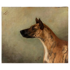 Antique Portrait of a Great Dane by Zélia Maria Klerx Oil on Canvas