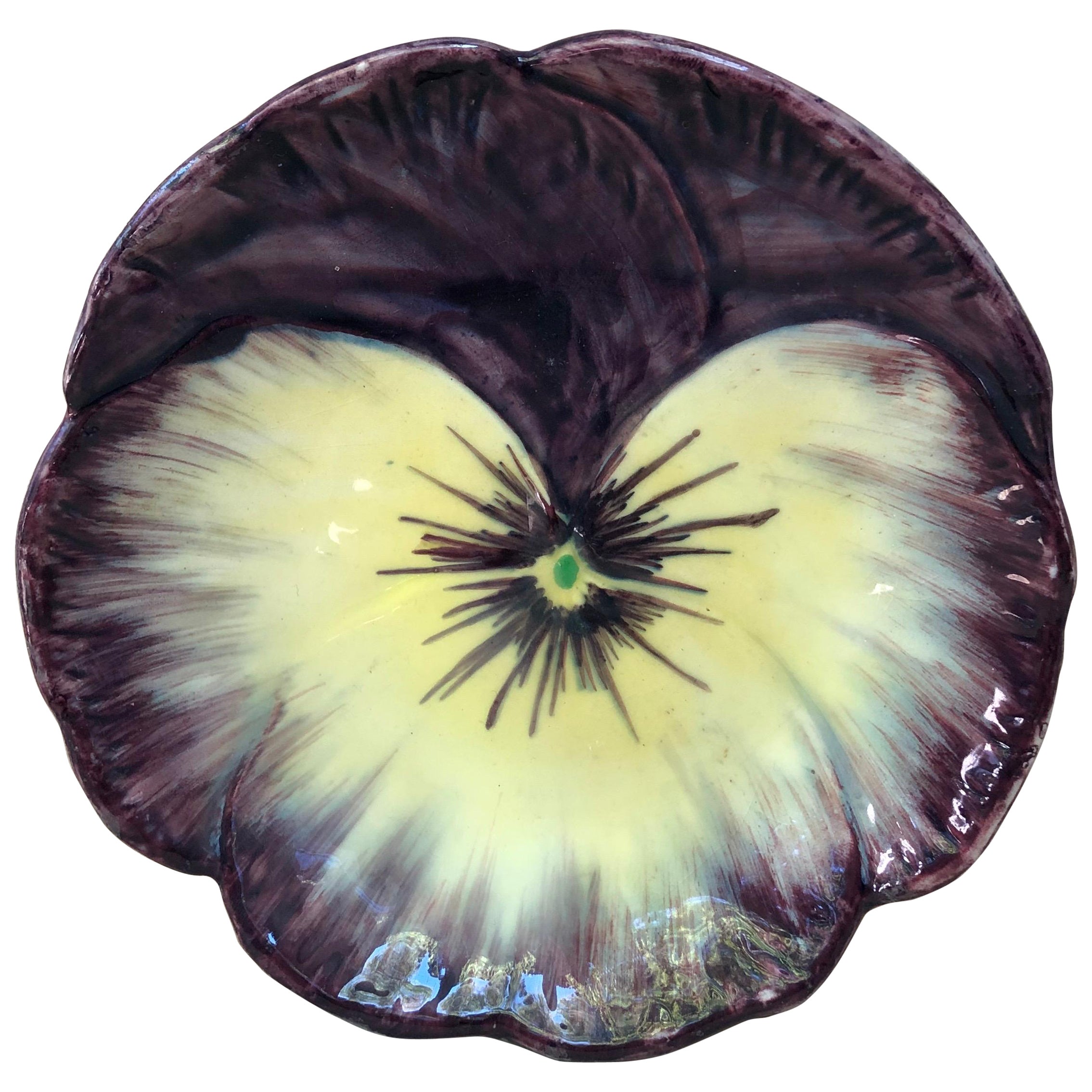 Majolica Pansy Plate Jerome Massier, Circa 1900