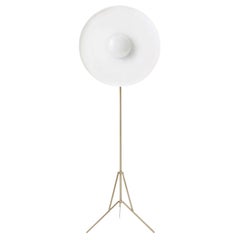 21st Century Parabola Copper Floor Lamp and White Disk