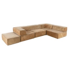 COR Trio Modular Sofa, Giant Landscape in Sand Colored, 1972 by Team Form AG