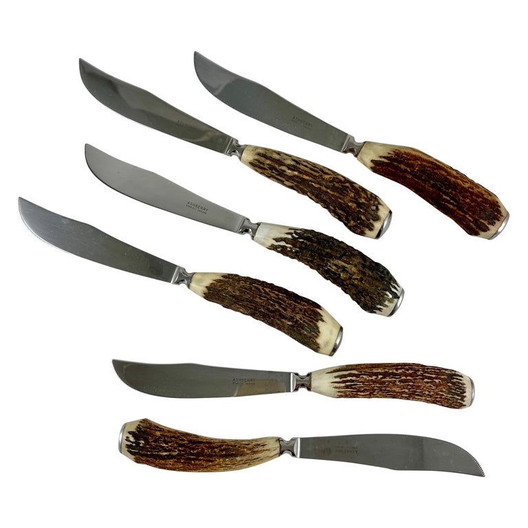 English Sheffield Ashberry Stag Horn & Stainless Steak Knives, Boxed Set of Six