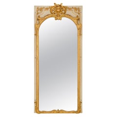 French Mid-19th Century Louis XV Style Patinated Gray and Giltwood Mirror
