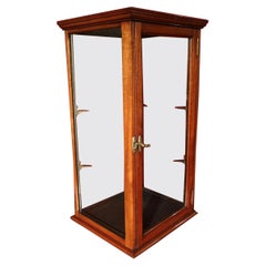 Small 19th Century Mahogany Display Cabinet