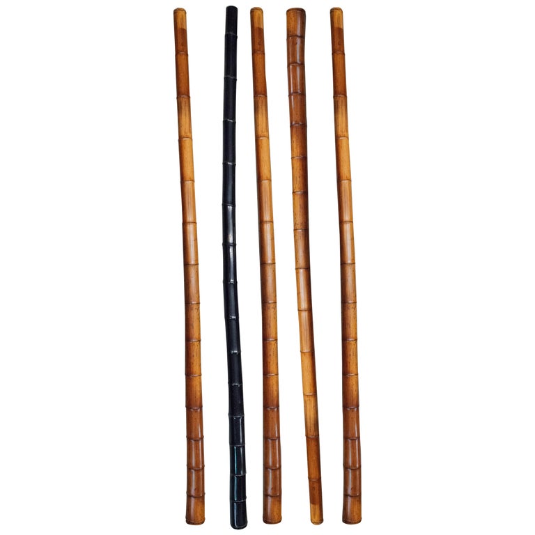 Long Bamboo Canes at 1stDibs