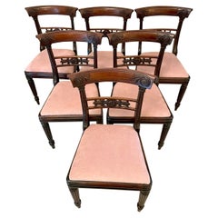Set aus sechs antiken Regency-Mahagoni-Esszimmerstühlen in prächtiger Qualität