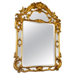 Large Glazed Mirror, Louis XV Style