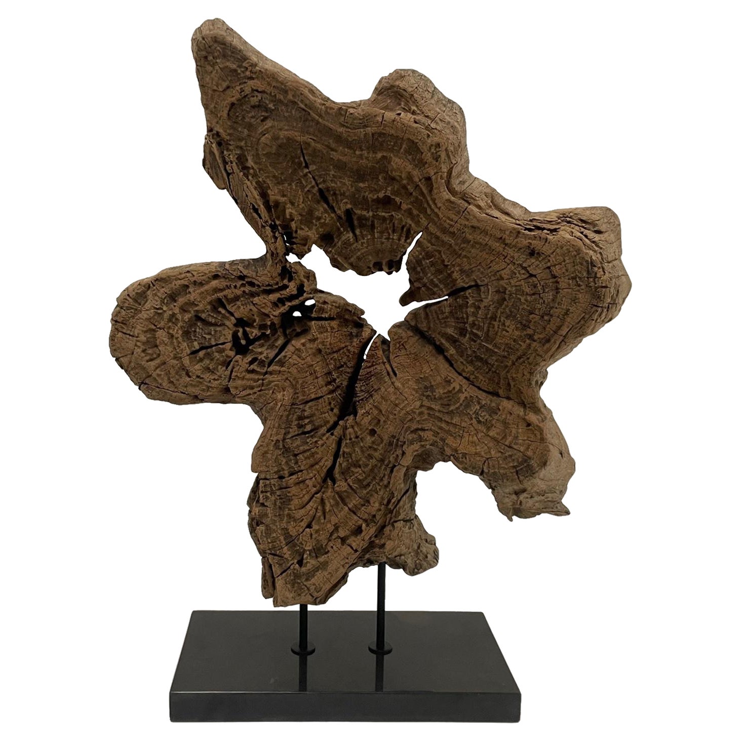 Large Organic Modern Wood Sculpture on Granite Base