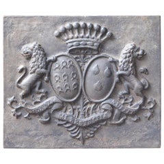 French Louis XIV Style Coat of Arms Fireback