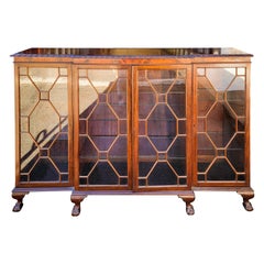 1950s Chinese Chippendale Style Mahogany Ball & Claw Bookcase / Cabinet