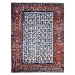 Early 20th Century Nehaband Rug