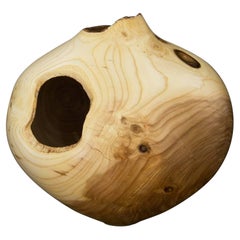 Unique Ash Vase by Vlad Droz