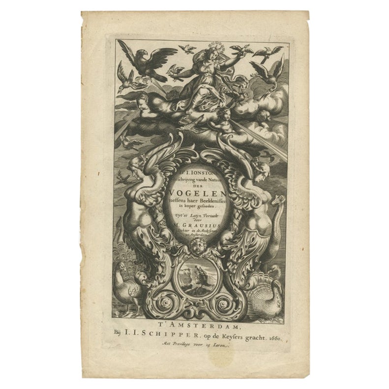 Antique Frontispiece of Birds and Putti by Merian, 1660 For Sale