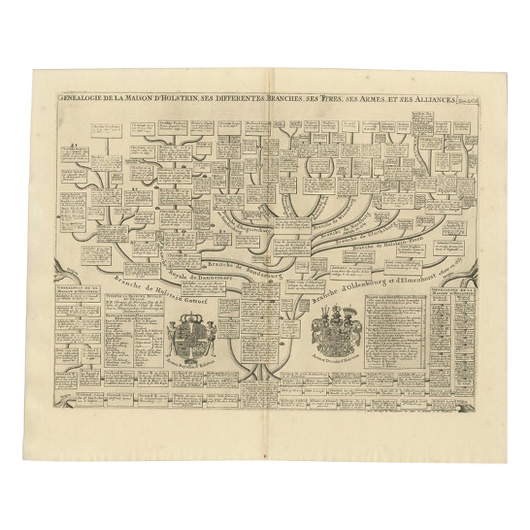 Antique Genealogy Chart of the House of Holstein, 1732 For Sale