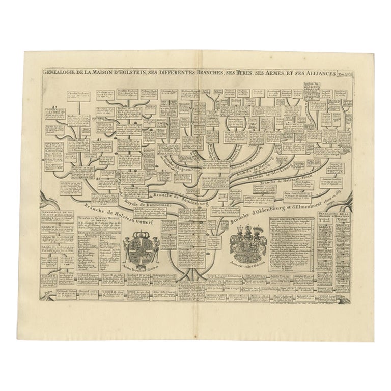 Carta Genealógica Antigua de la Casa de Holstein, 1732