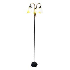 Vintage French Brass and Black Metal Floor Lamp with 3 Glass Lights, 1950s