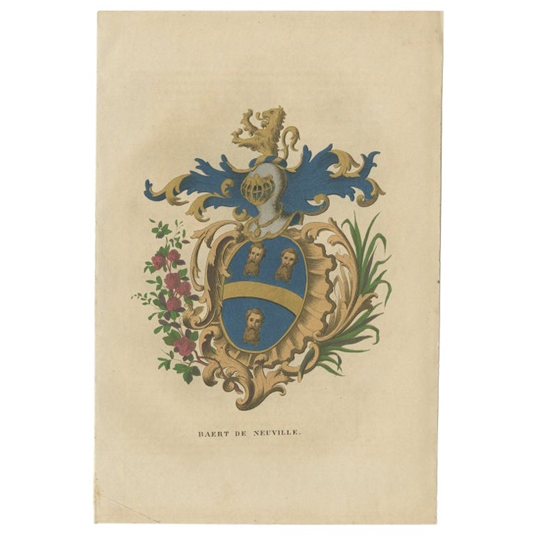Antique Genealogy Print of the 'Baert de Neuville' Family by Herckenrode, 1862 For Sale